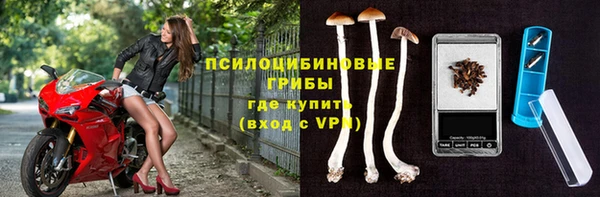 mdpv Богородск