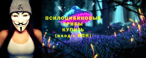 прущая мука Богданович