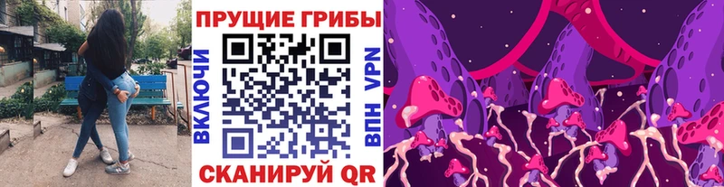 Псилоцибиновые грибы MAGIC MUSHROOMS  купить наркотик  МЕГА маркетплейс  Демидов 